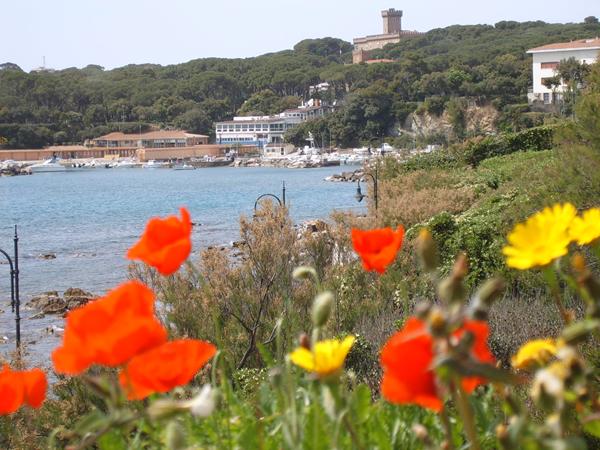 Blumen und Meer: Entdecken Sie die faszinierende Landschaft der Toskana.