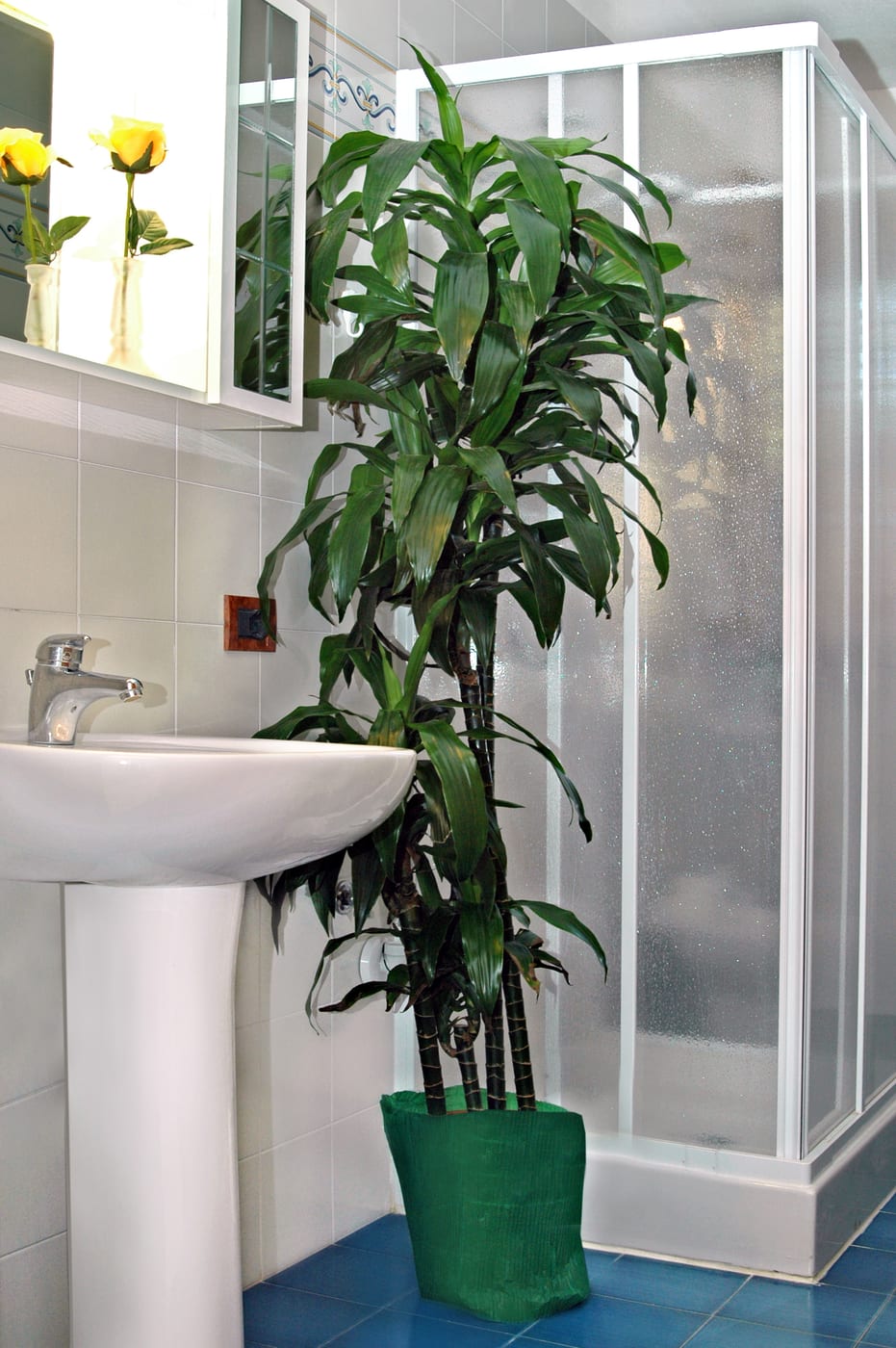Bathroom detail in a Villa Casa Marina apartment