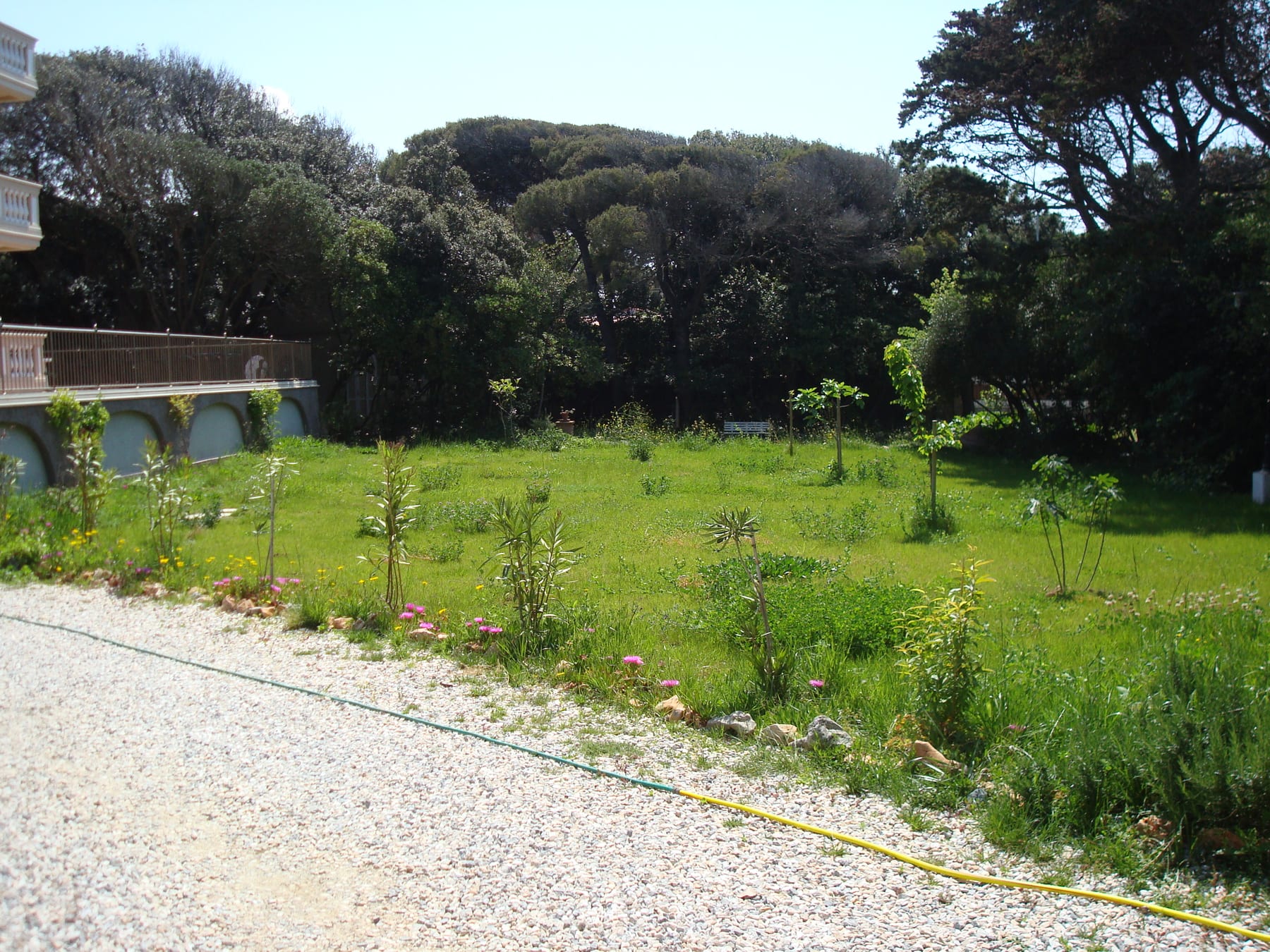Park and greenery at Villa Casa Marina