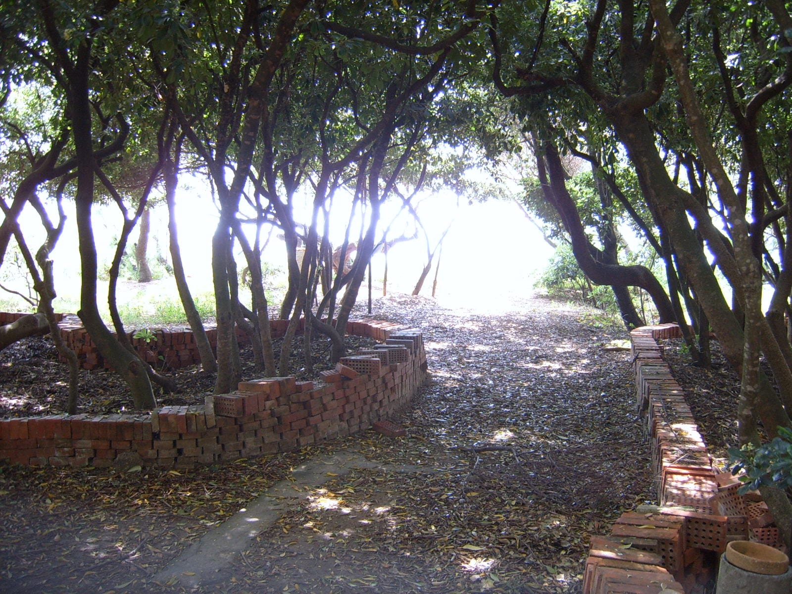 Schattiger Gartenweg der Villa Casa Marina mit Blick zum Meer