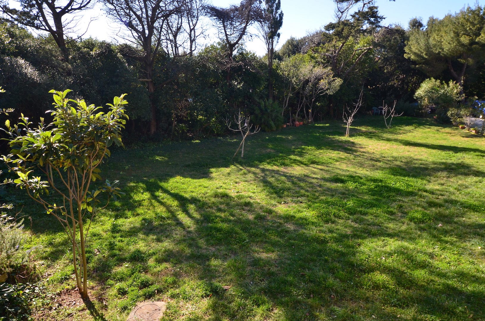 Garden lawn at Villa Casa Marina
