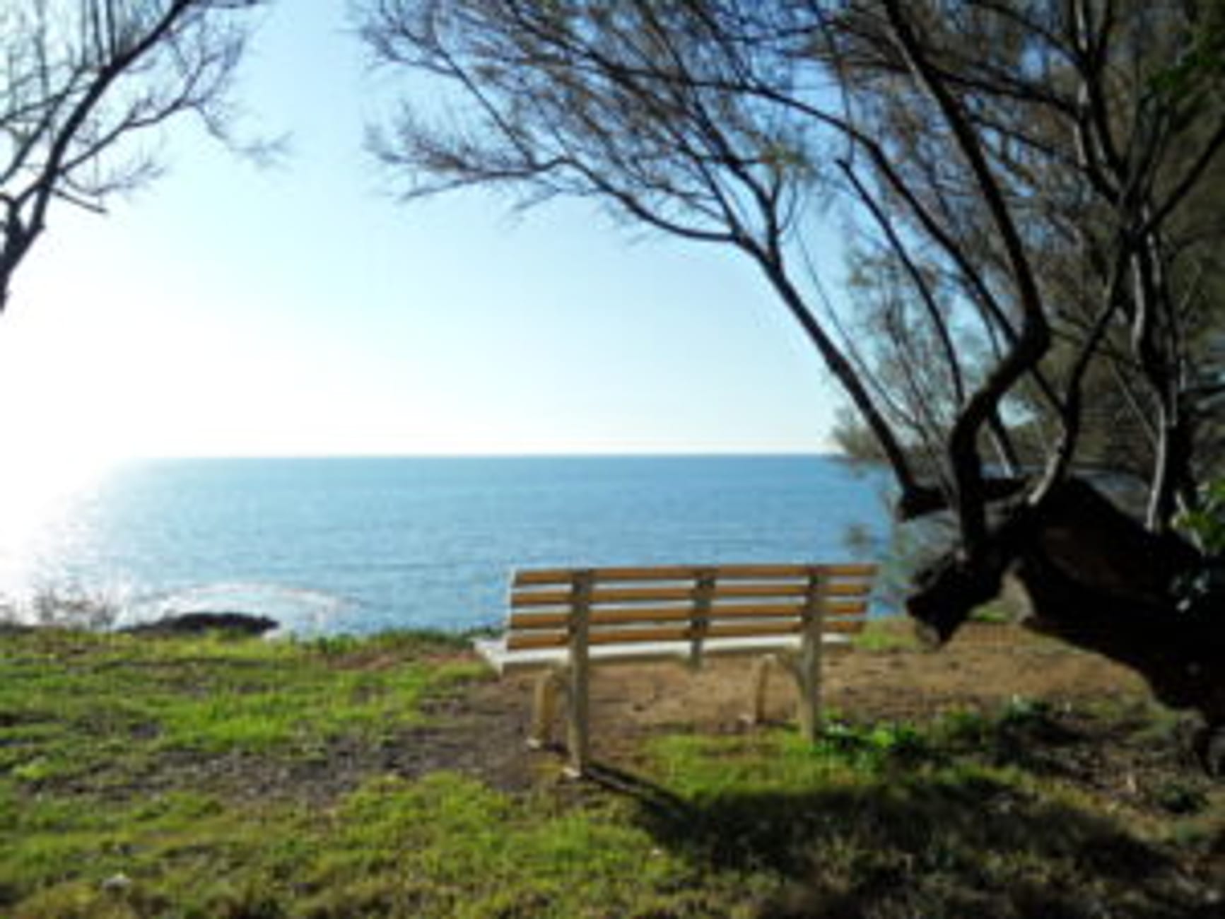 Bench with sea view in the Villa Casa Marina park